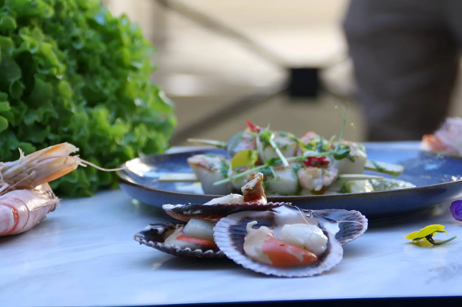 Assiette d'entrée du chef, fruits de mer et légumes croquants